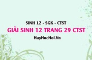 Giải Sinh 12 trang 29 Chân trời sáng tạo SGK